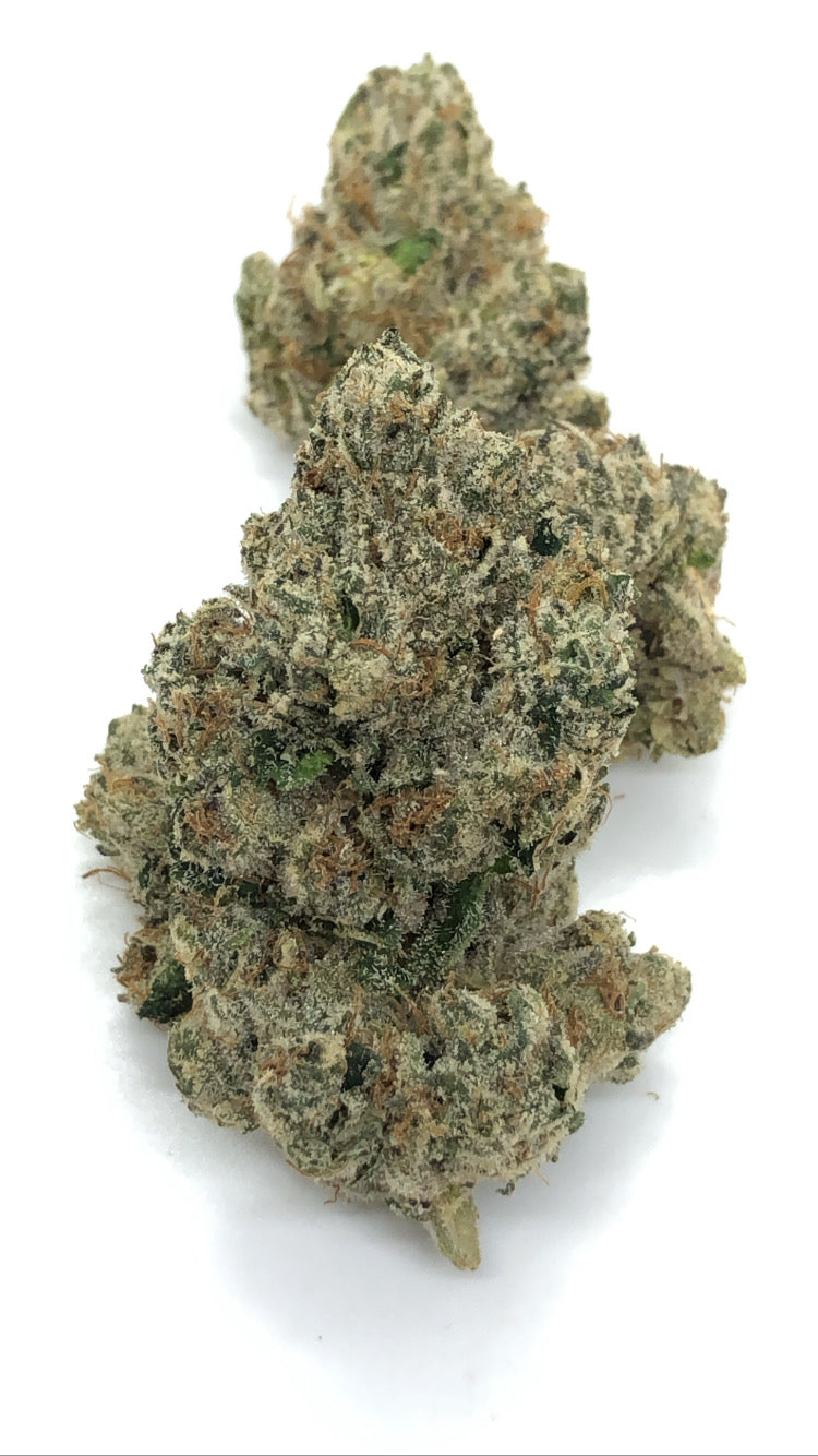 Bacio Gelato 1oz special