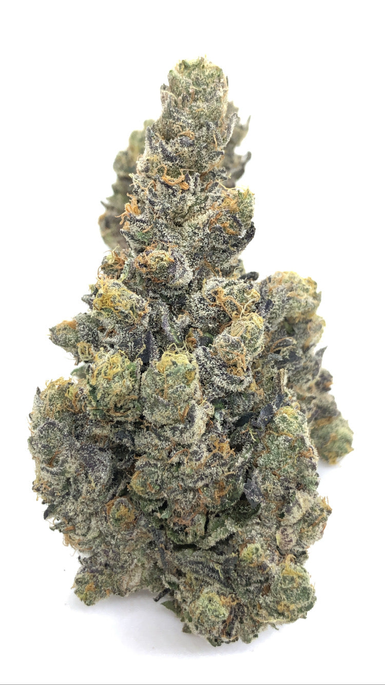 Passion Fruit 1/2oz special only