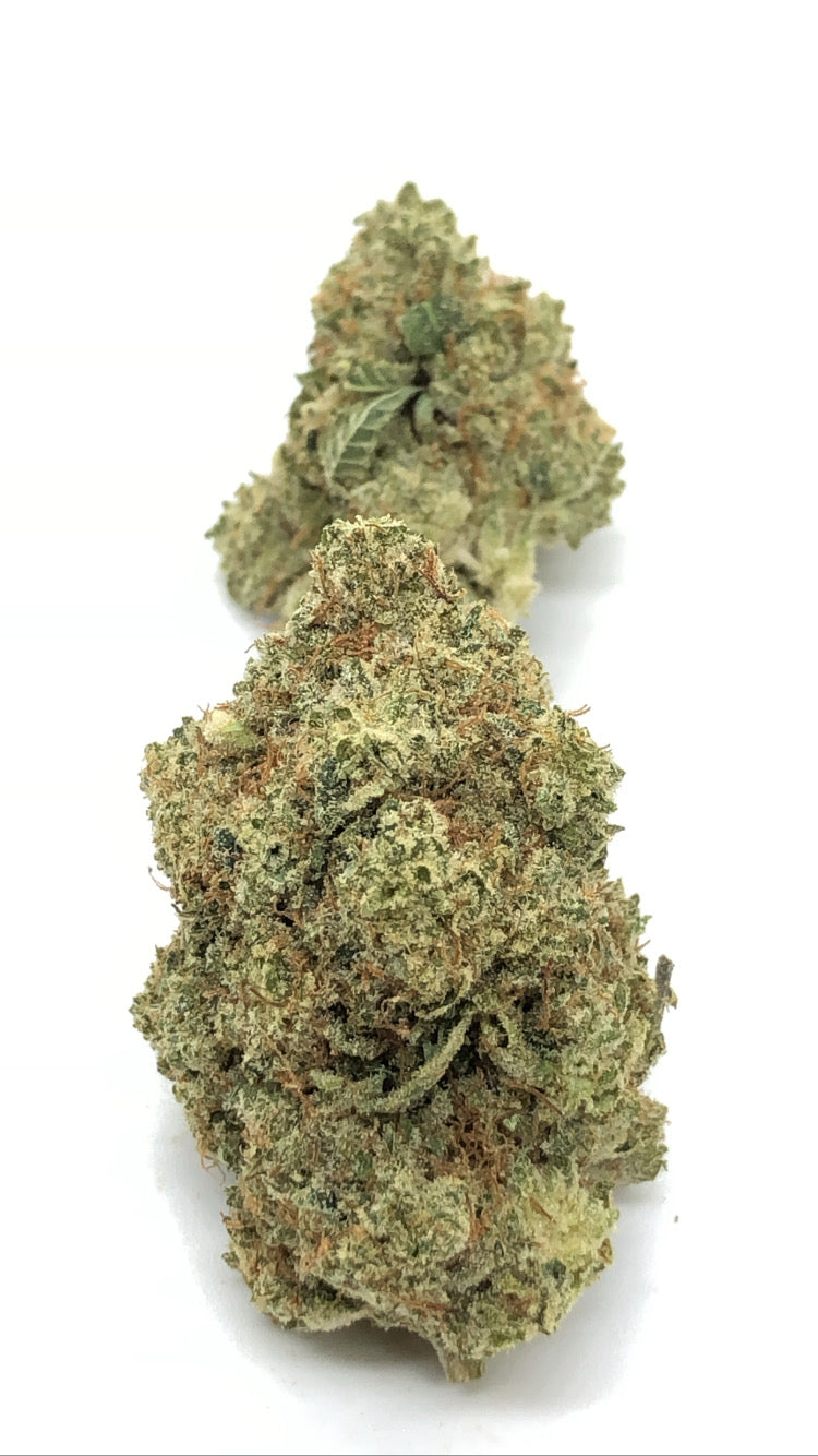 Gorilla Glue 1oz special only