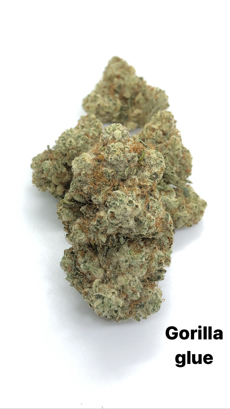 Gorilla glue 1oz special only