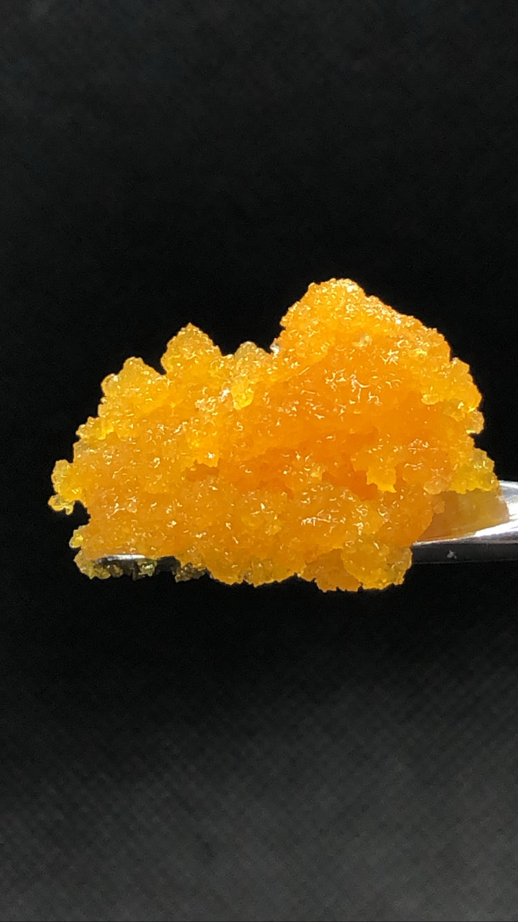 Bubblegum gelato sugar wax