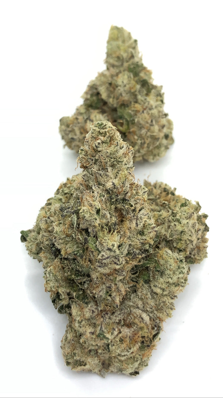 Super glue 1oz special only