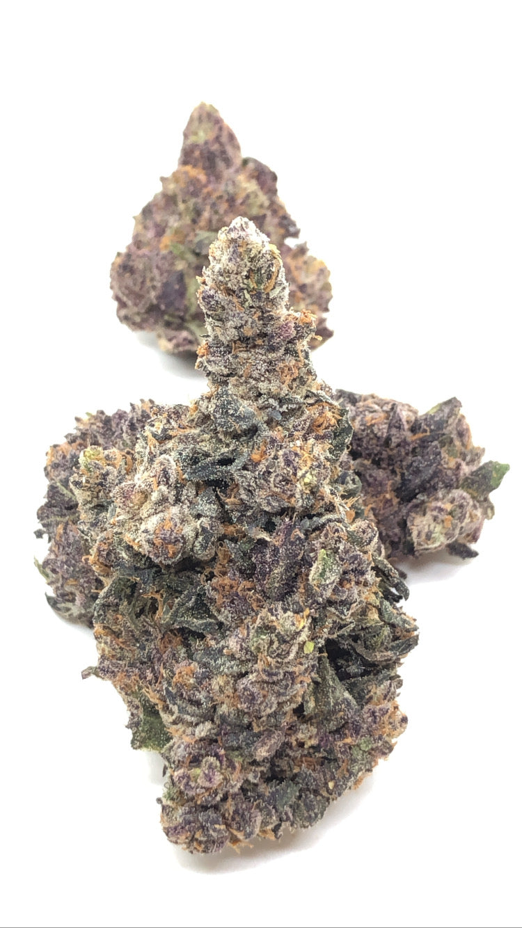 Gelato 41 1oz special only