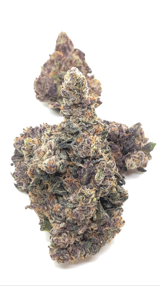 Gelato 41 1oz special only