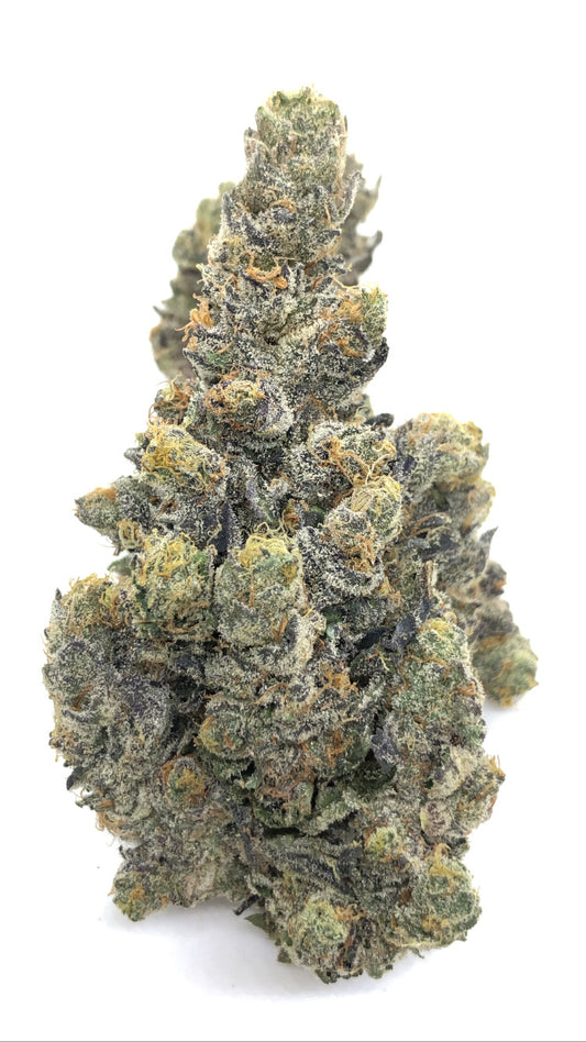 Passion Fruit 1/2oz special only