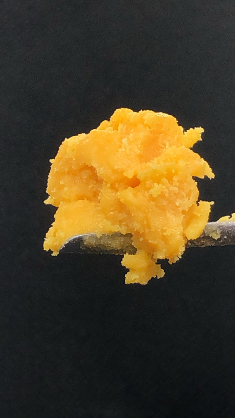 Northern Lights badder