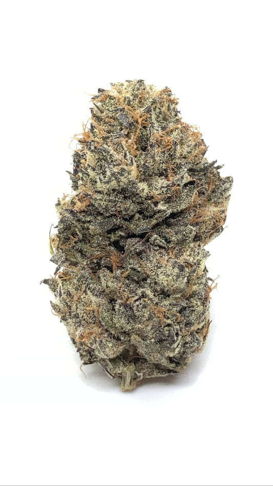 God’s gift