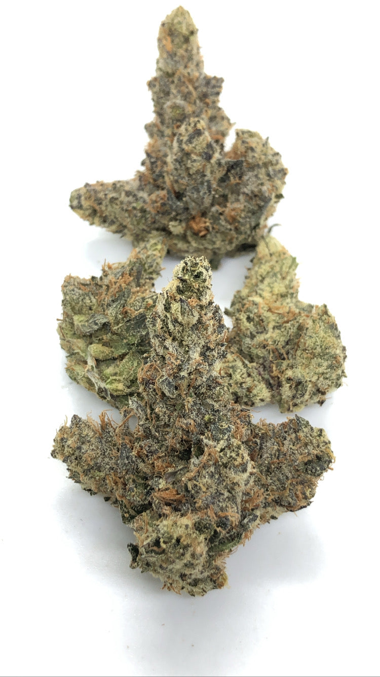 Gaslato 1/2oz special only