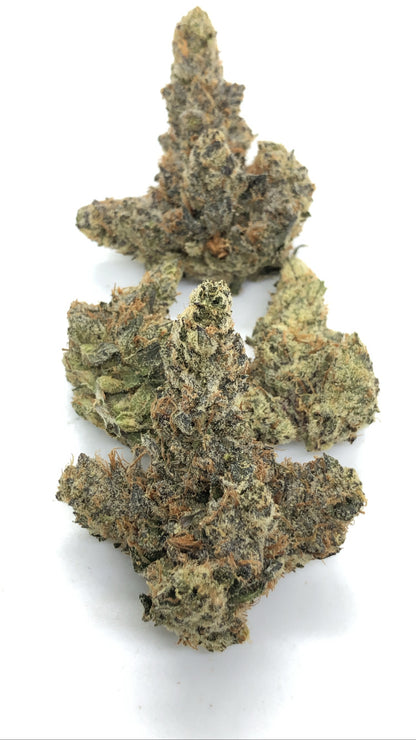 Gaslato 1/2oz special only