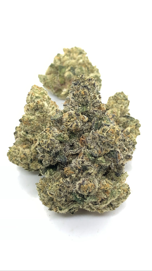 Lava cake 1oz special only