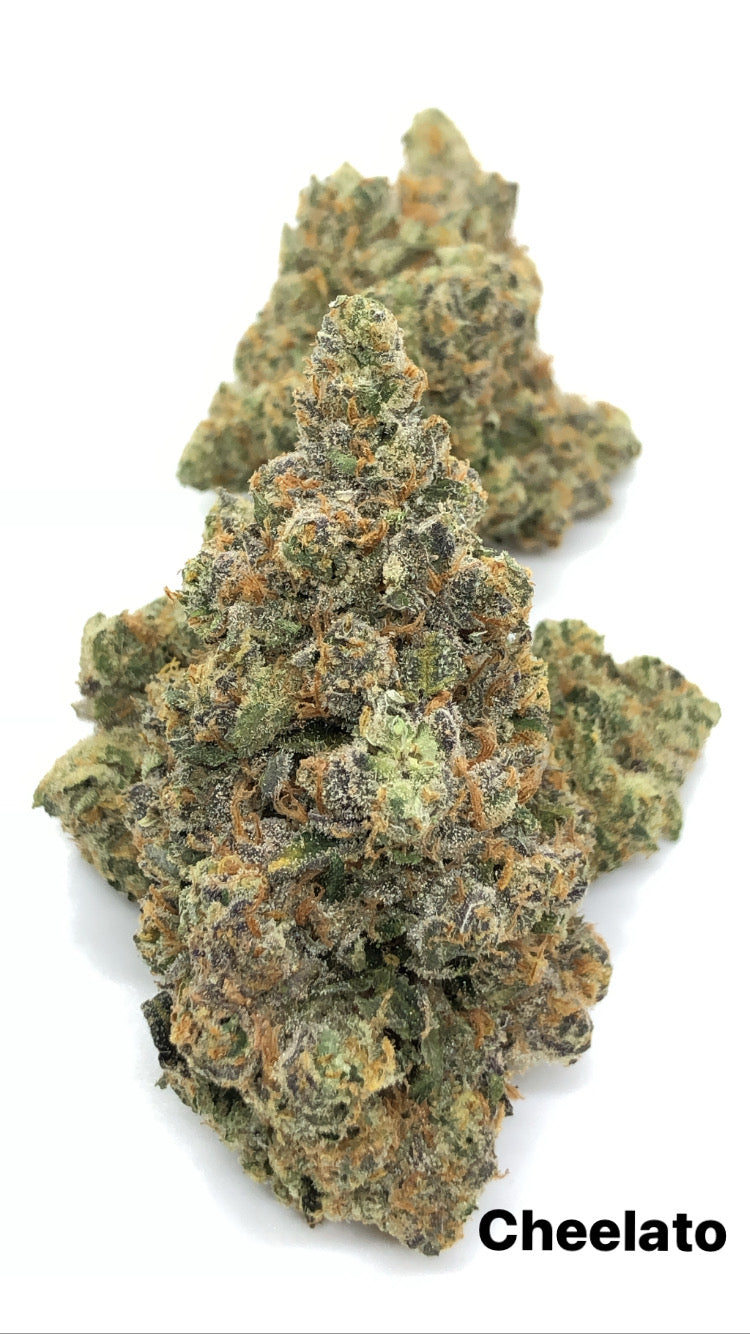 Cheelato 1/2oz special only