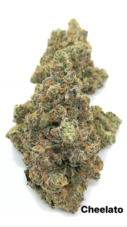 Cheelato 1/2oz special only