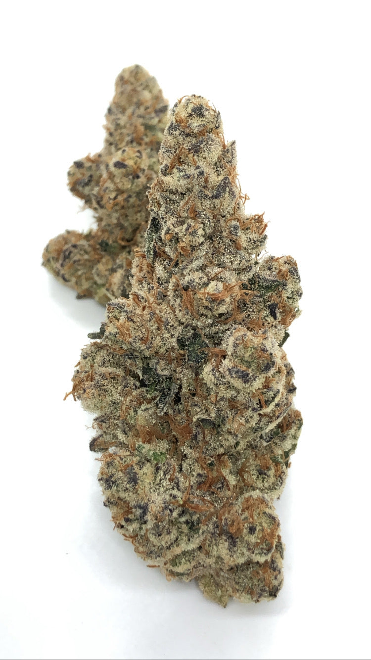 Glitter Bomb 1oz special only