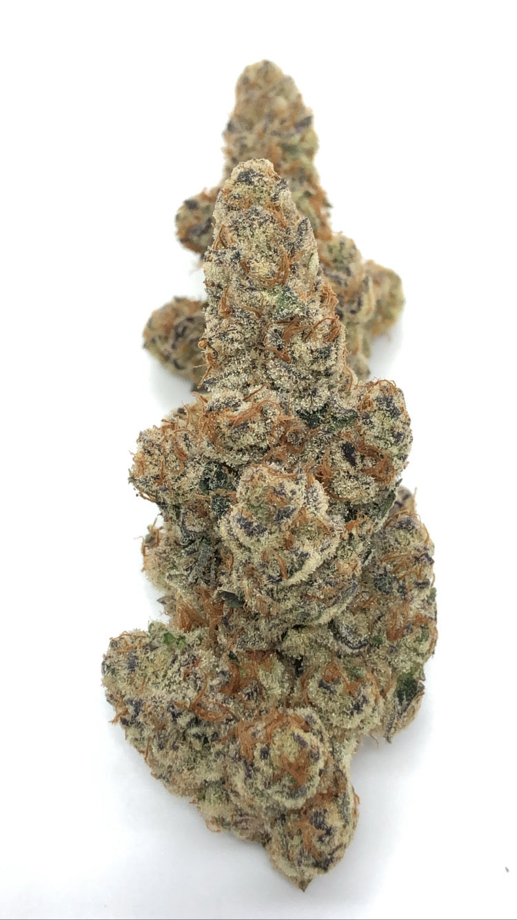 Glitter Bomb 1oz special only