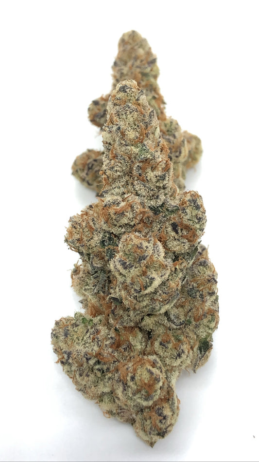 Glitter Bomb 1oz special only