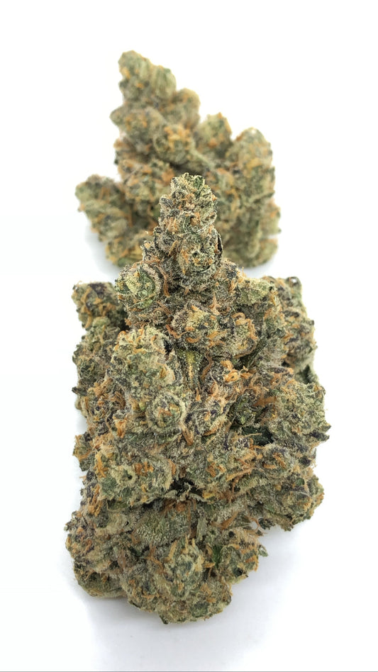 Cheetah Piss 1oz special only