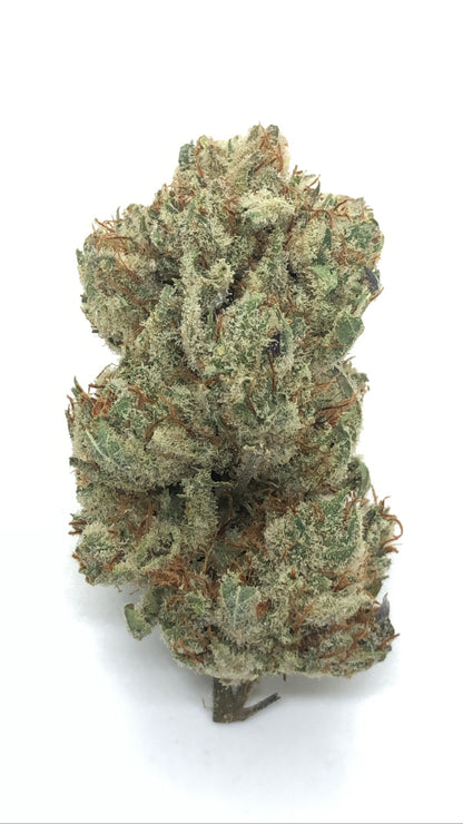 Nightwalker og