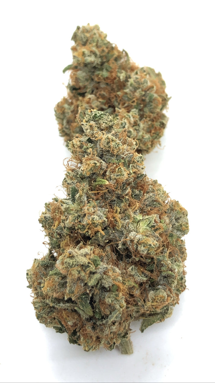 Orange Cookies 1oz special only